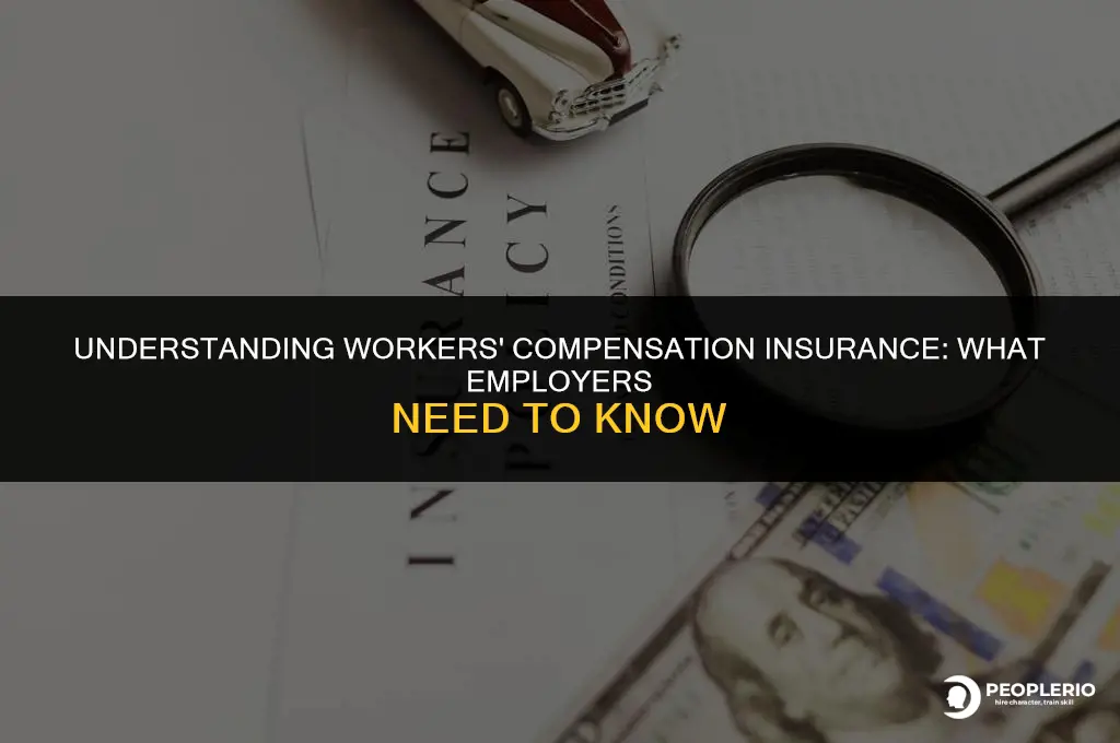 does employer have workers compensation insurance