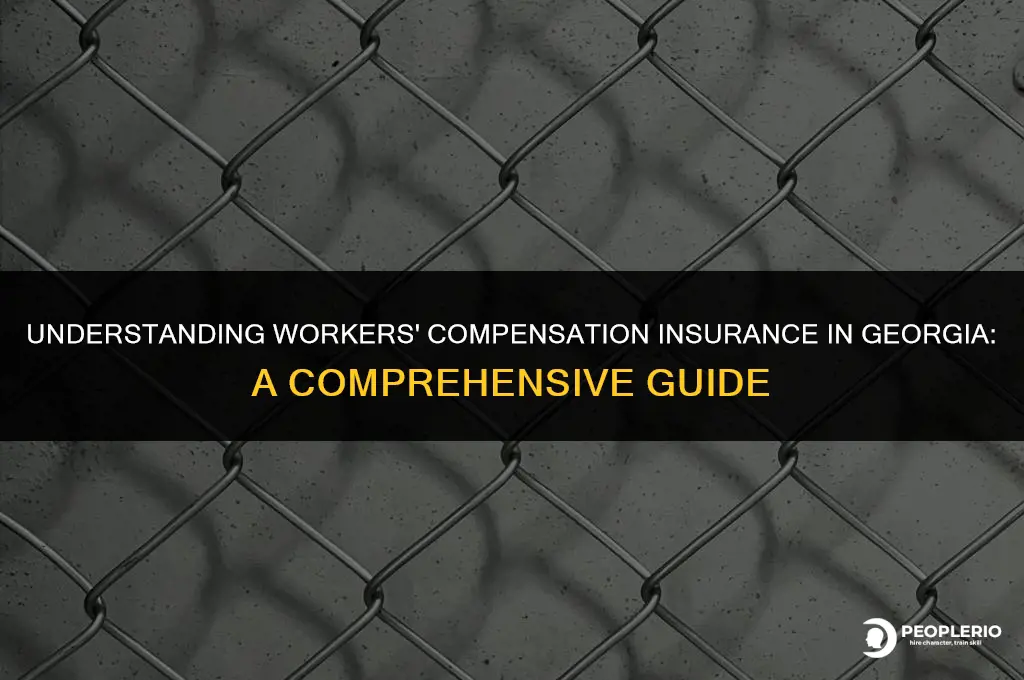 does georgia have workers compensation insurance