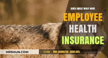 Exploring Employee Health Insurance Options at Great Wolf