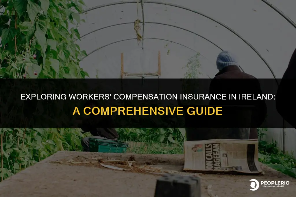 does ireland have workers compensation insurance