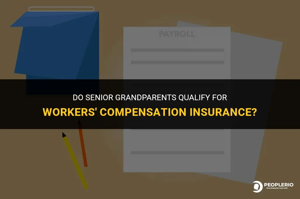 does senior grandparents provide workers compensation insurance