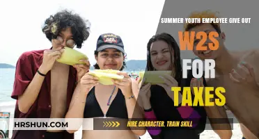 Understanding W-2s for Summer Youth Employees: A Tax Guide