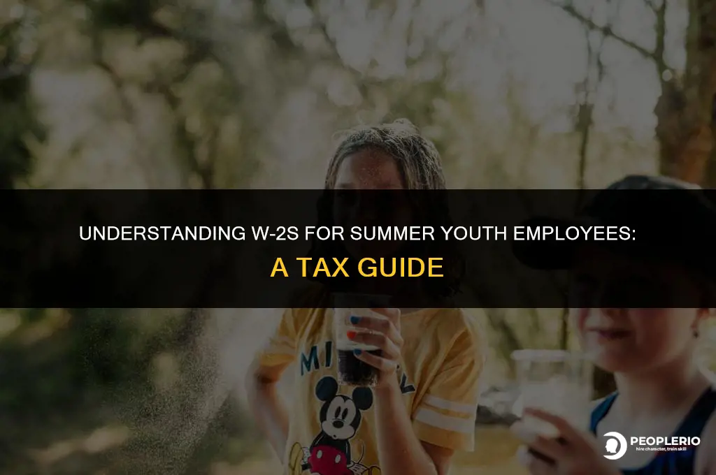 does summer youth employee give out w2s for taxes