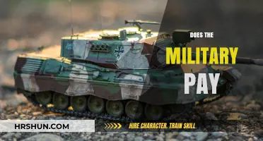 Exploring the Financial Side of Service: Does the Military Pay?