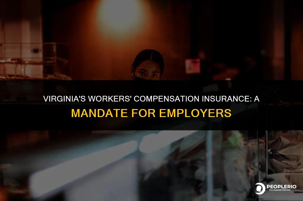 does virginia require workers compensation insurance