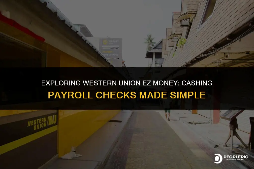 does western union ez money check cashing cash payroll checks