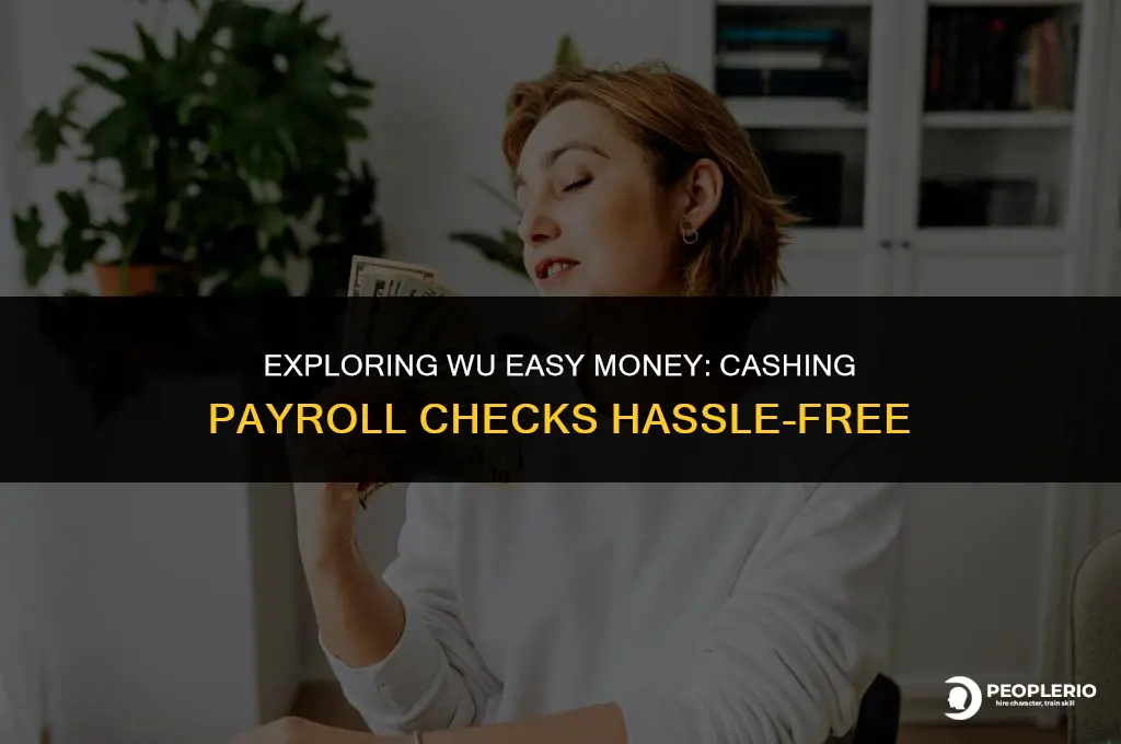does wu easy money check cashing cash payroll checks