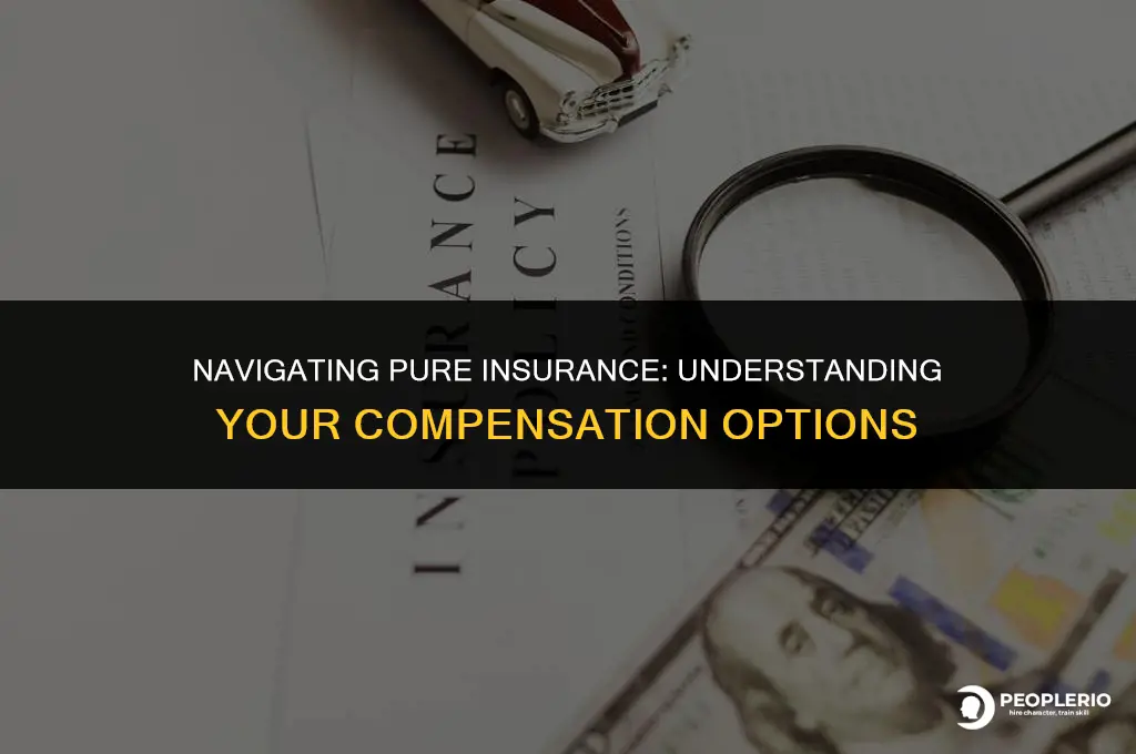 have you get compensation from pure insurance