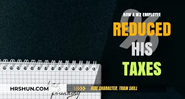 Smart Tax Strategies: How a W2 Employee Reduced His Taxes