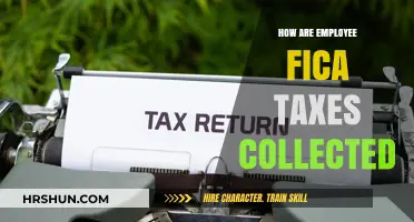 Understanding FICA Tax Collection: A Guide for Employees
