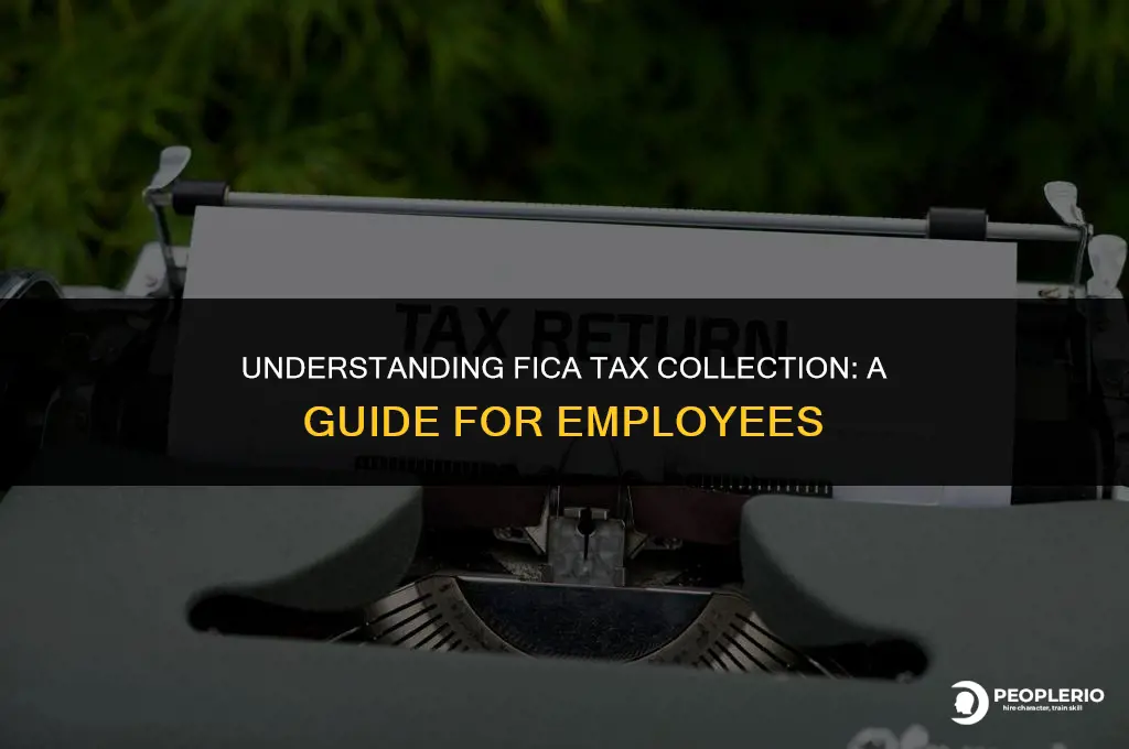 how are employee fica taxes collected