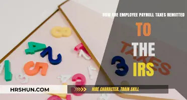 Understanding Payroll Tax Remittance to the IRS: A Guide for Employers