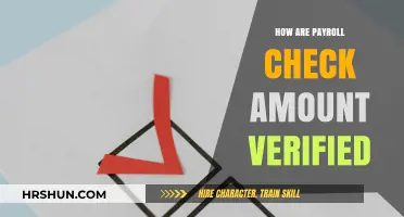 Ensuring Accuracy: The Process of Payroll Check Verification