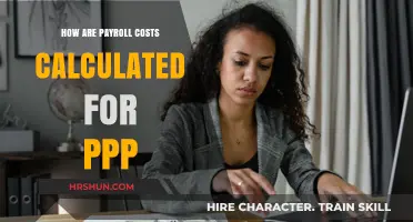 Understanding Payroll Costs Calculation for PPP Loans