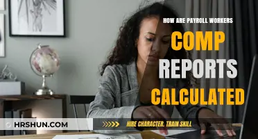 Understanding Payroll Workers' Comp Reports: A Calculation Guide