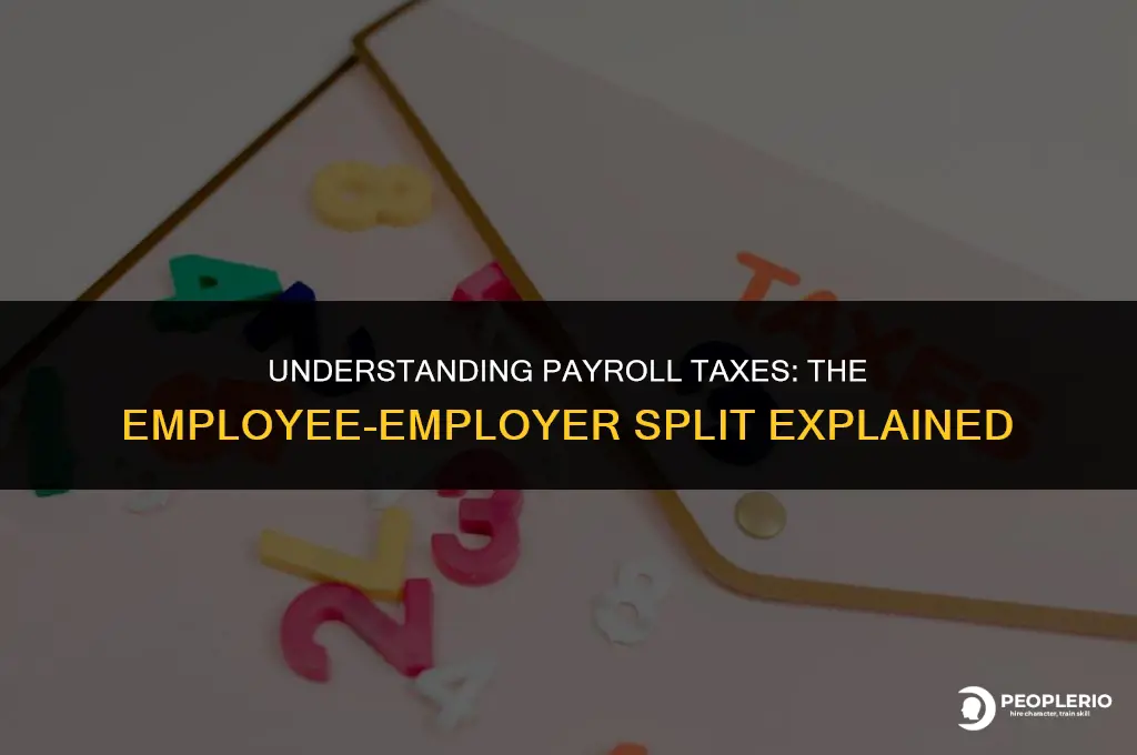how are taxes usually split between employee and employer
