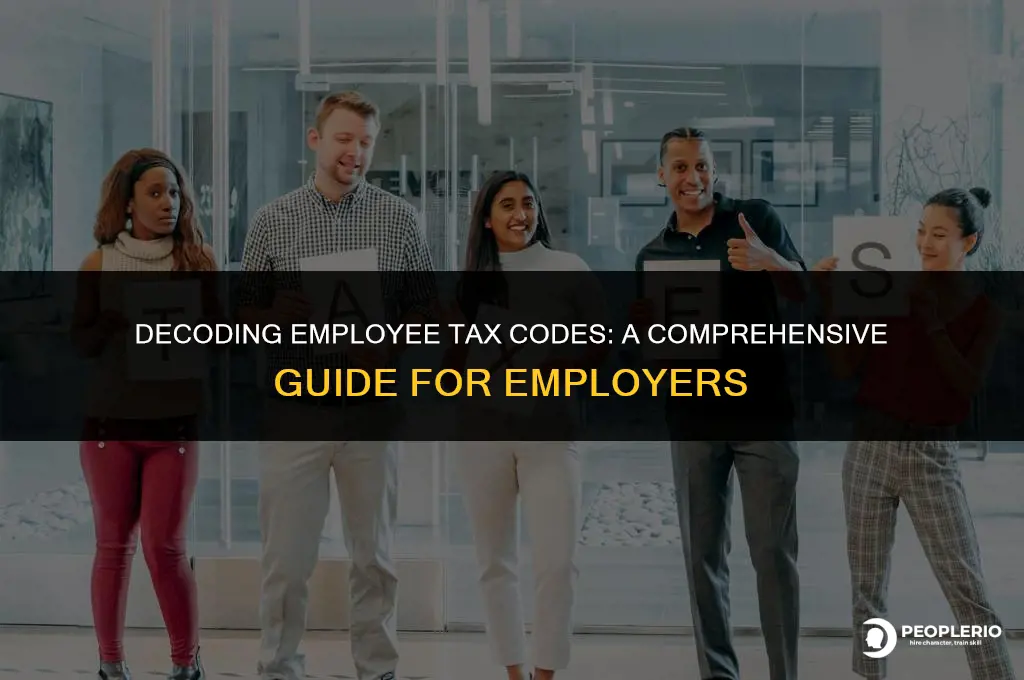 how can i check employee tax codes