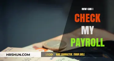Easy Steps to Access and Review Your Payroll Information Online