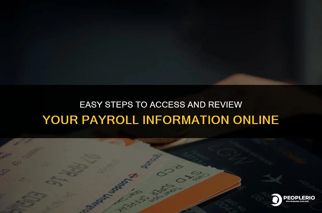 how can i check my payroll