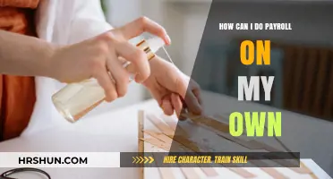 Mastering Payroll: A Step-by-Step Guide to DIY Payroll Processing
