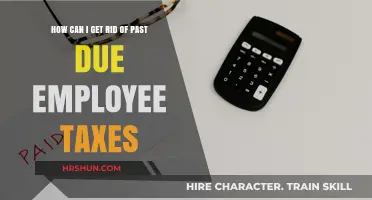 Resolving Past Due Employee Taxes: A Comprehensive Guide