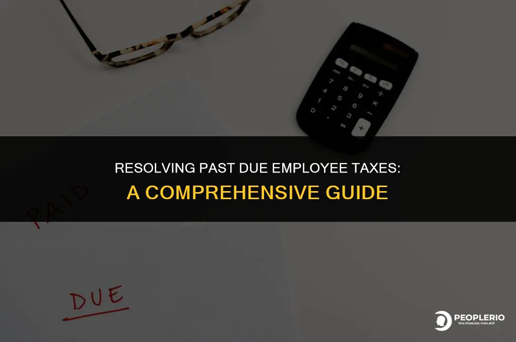 how can i get rid of past due employee taxes