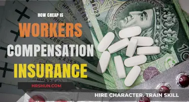 Understanding the Cost of Workers' Compensation Insurance