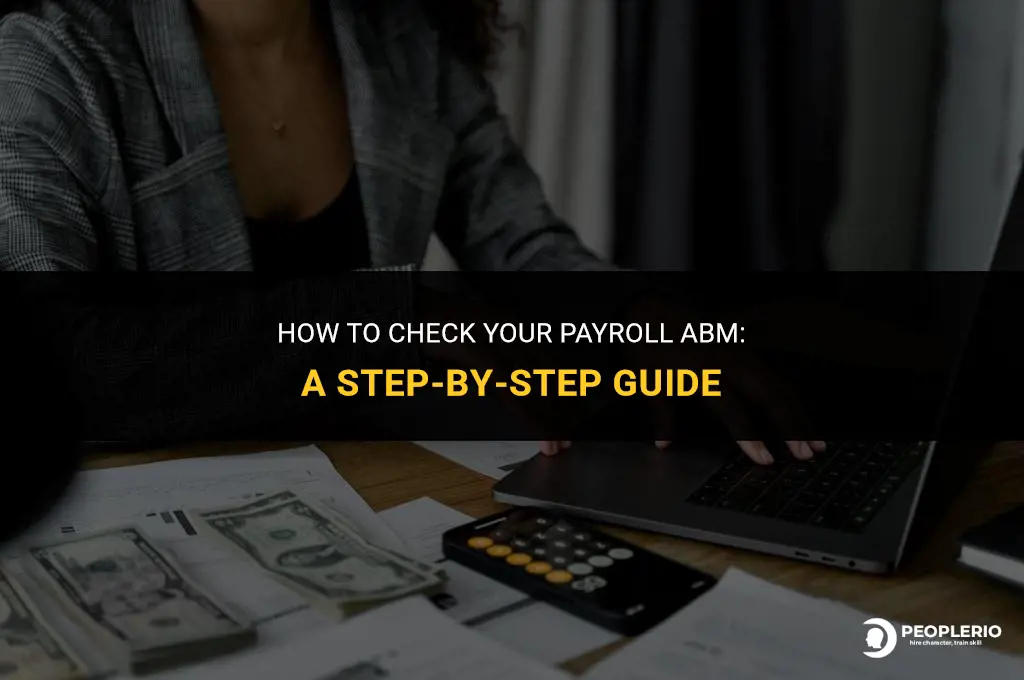 how check my payroll abm