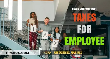 Understanding Employee Taxes: A Guide for Employers