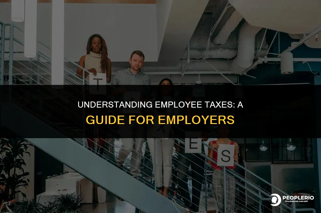 how d employer does taxes for employee