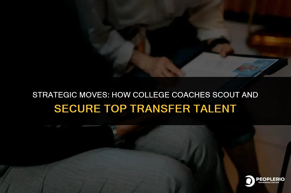 how do college coaches recruit transfers