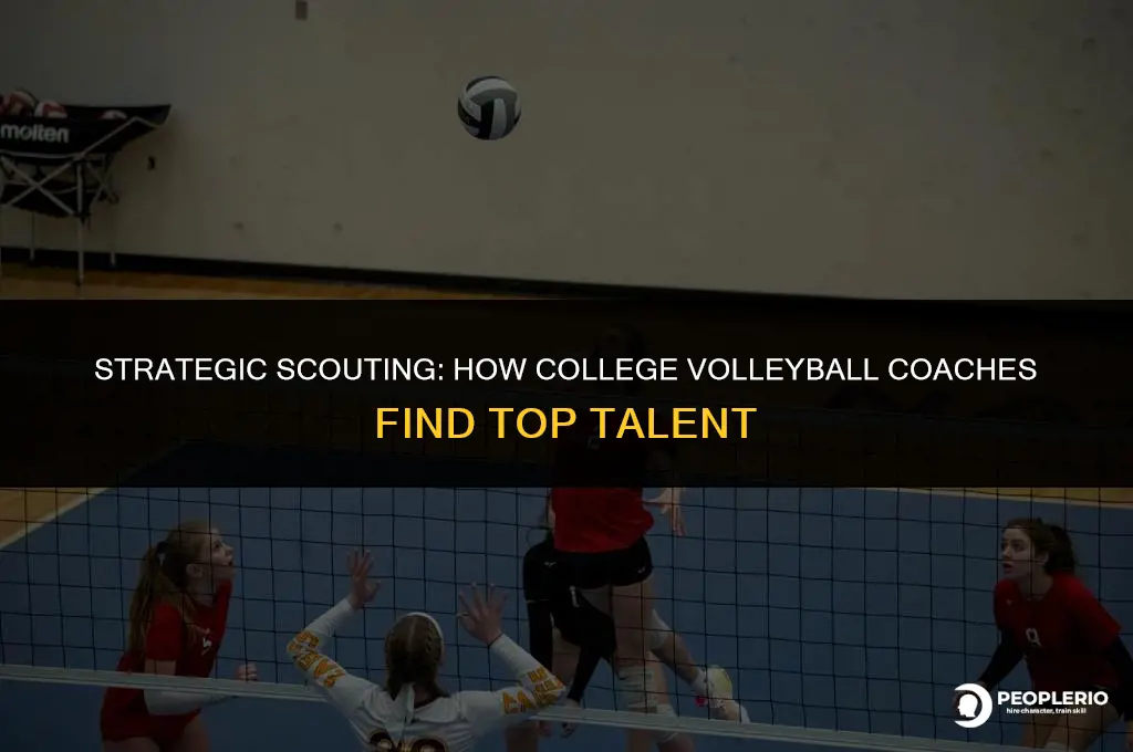 how do college volleyball coaches recruit