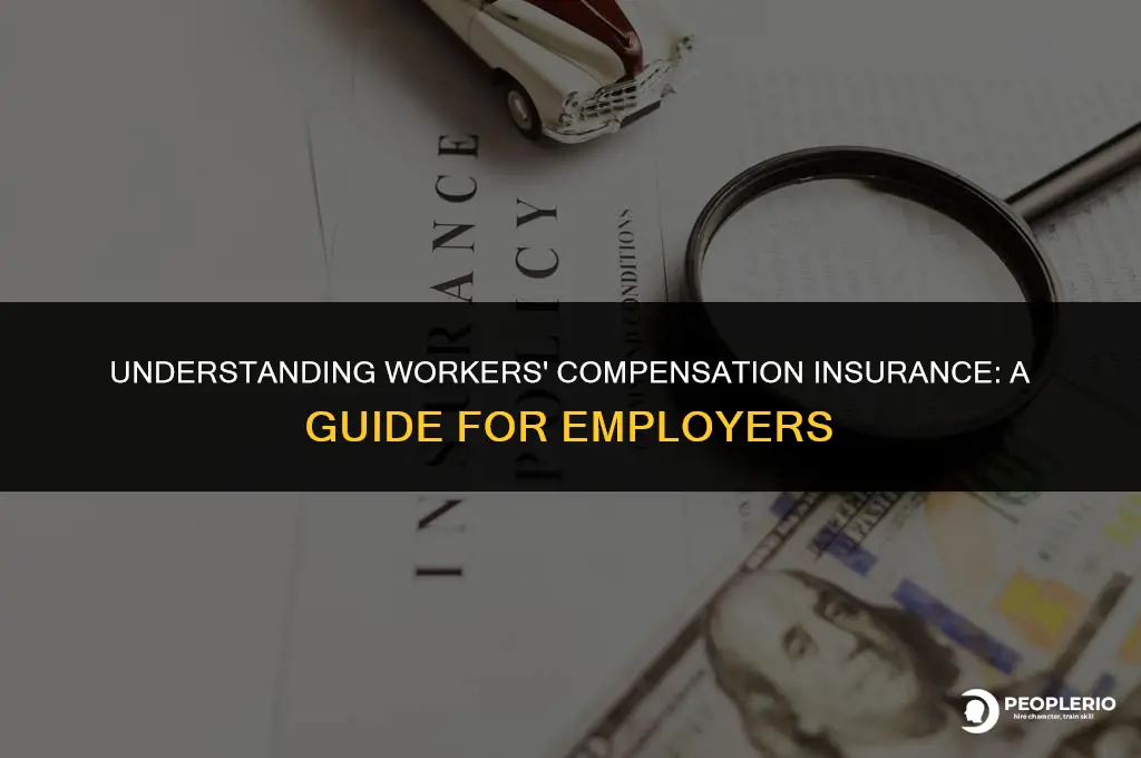 how do employers provide workers compensation insurance