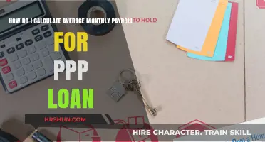 Calculating Average Monthly Payroll for PPP Loans: A Step-by-Step Guide