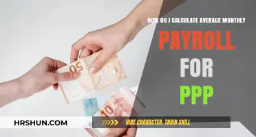Calculating Average Monthly Payroll for PPP: A Step-by-Step Guide