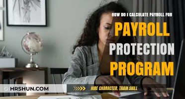 Mastering Payroll Calculations for the Payroll Protection Program