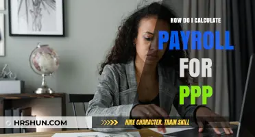 PPP Payroll Calculation: A Step-by-Step Guide for Employers