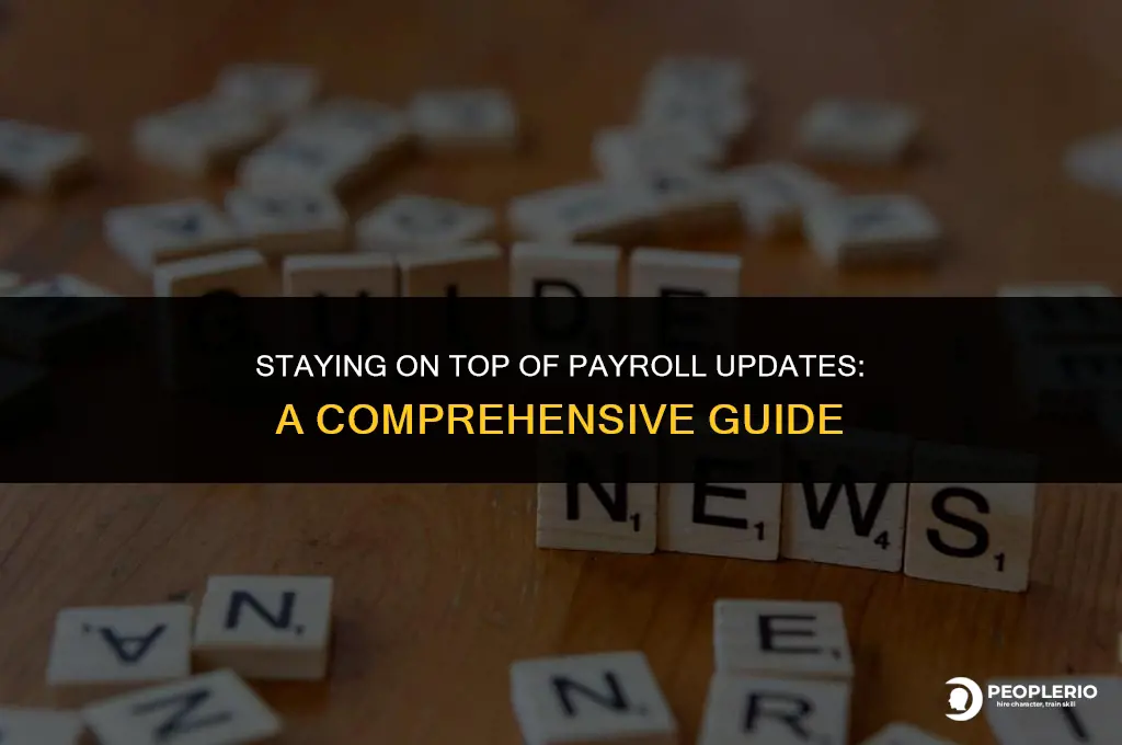how do i check for payroll updates