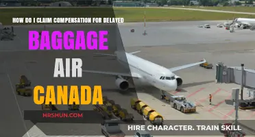 Navigating Air Canada's Delayed Baggage Compensation: A Step-by-Step Guide