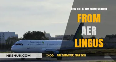 Claiming Compensation from Aer Lingus: A Step-by-Step Guide