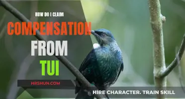 Navigating TUI Compensation Claims: A Step-by-Step Guide