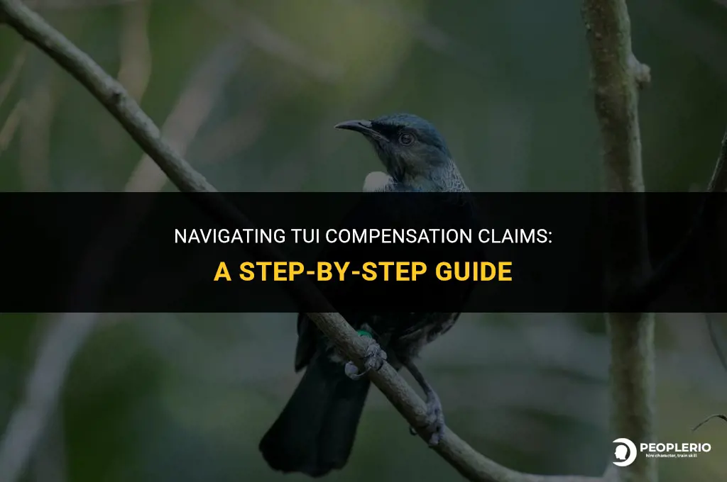 how do I claim compensation from tui