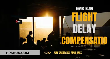 Navigating Flight Delay Compensation: A Passenger's Guide