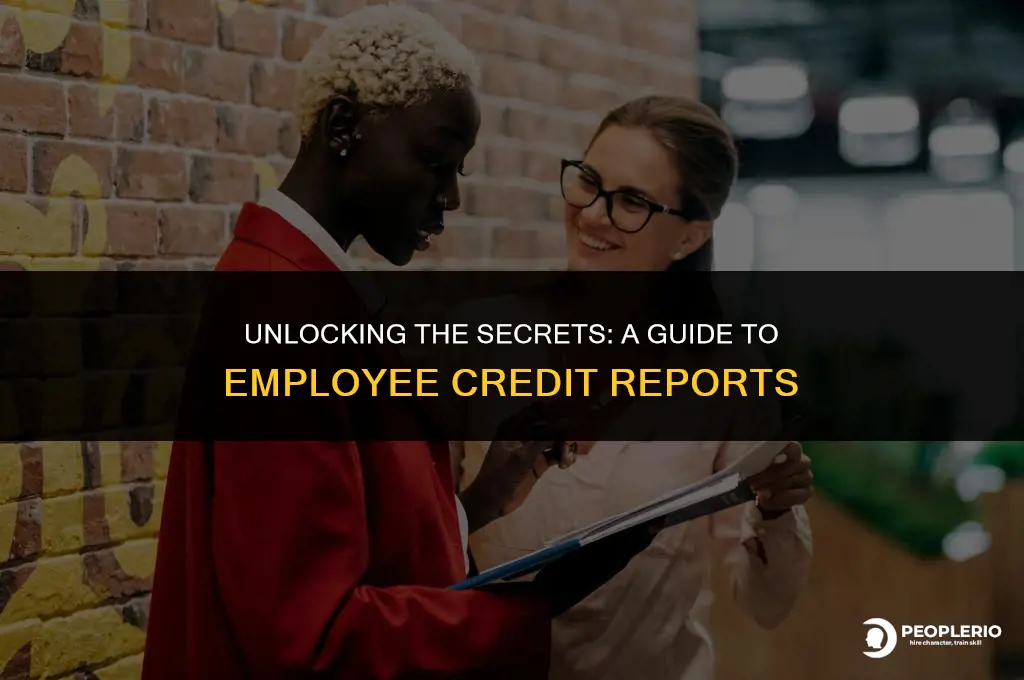 how do i do employee credit report
