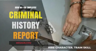 Conducting Employee Criminal History Reports: A Comprehensive Guide