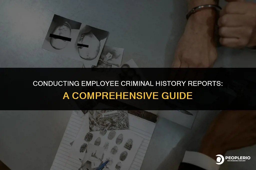 how do i do employee criminal history report