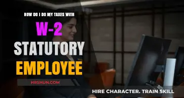 Decoding Your W-2: A Statutory Employee's Guide to Tax Filing