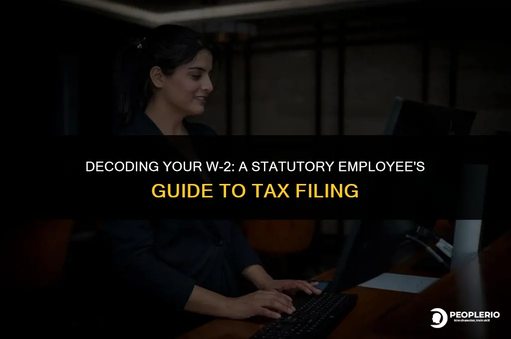 how do i do my taxes with w-2 statutory employee