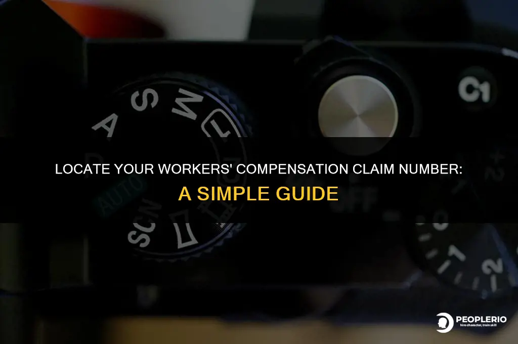 how do I find my workers compensation claim number
