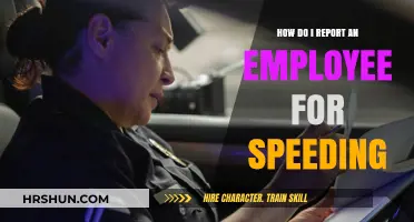 Reporting Employee Speeding: A Step-by-Step Guide for Concerned Employers